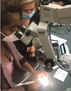 Cycles esthétiques animés par Romain Demangeat et Quentin Amesland RD Formations cycle esthetique microscope Strasbourg Dr Demangeat